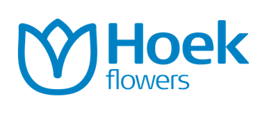 Hoek Flowers
